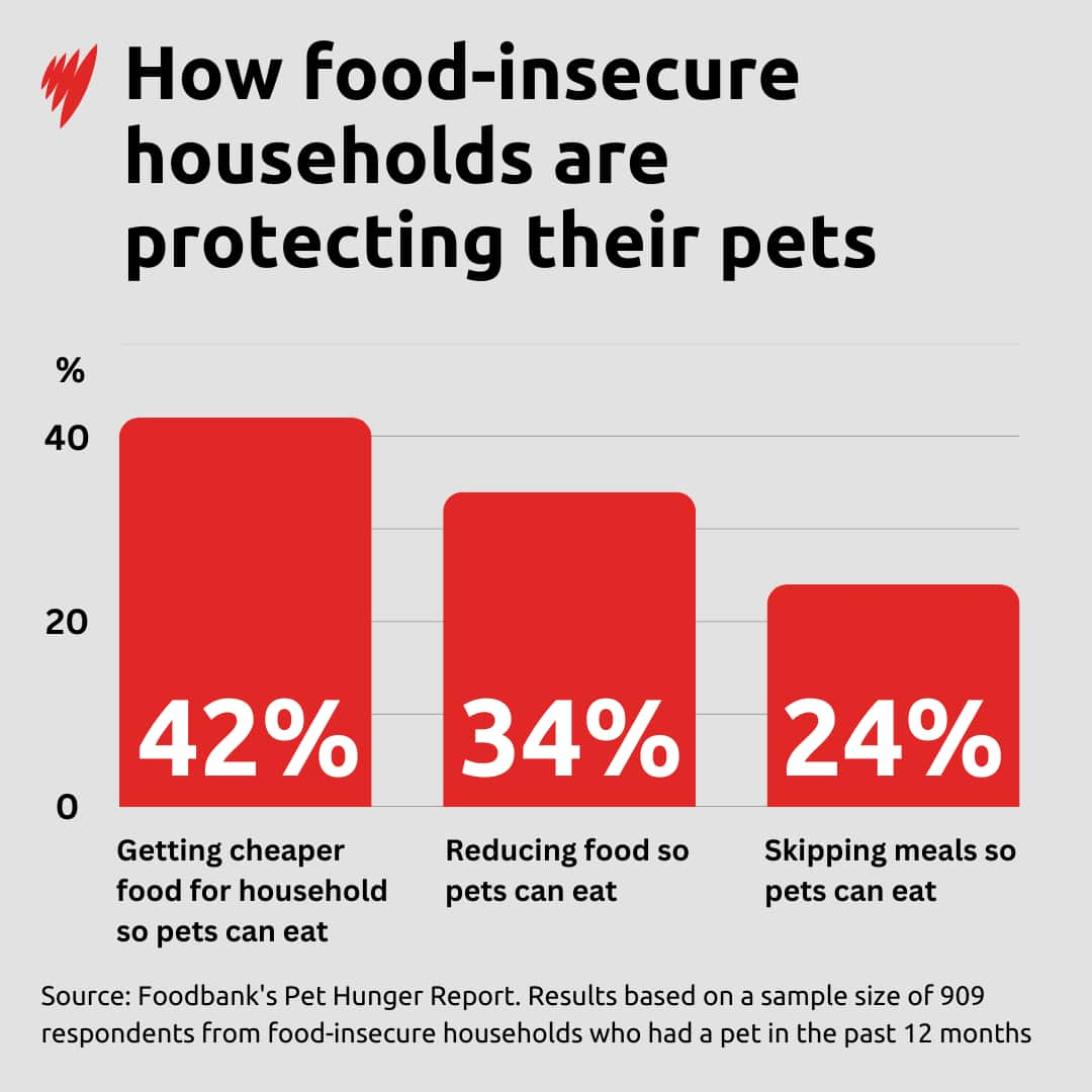 Infographic showing how food insecure households are protecting their pets.