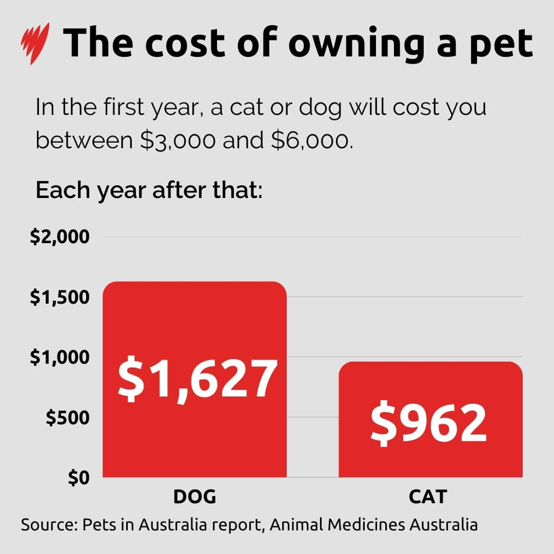 Graphic showing the costs of owning a pet