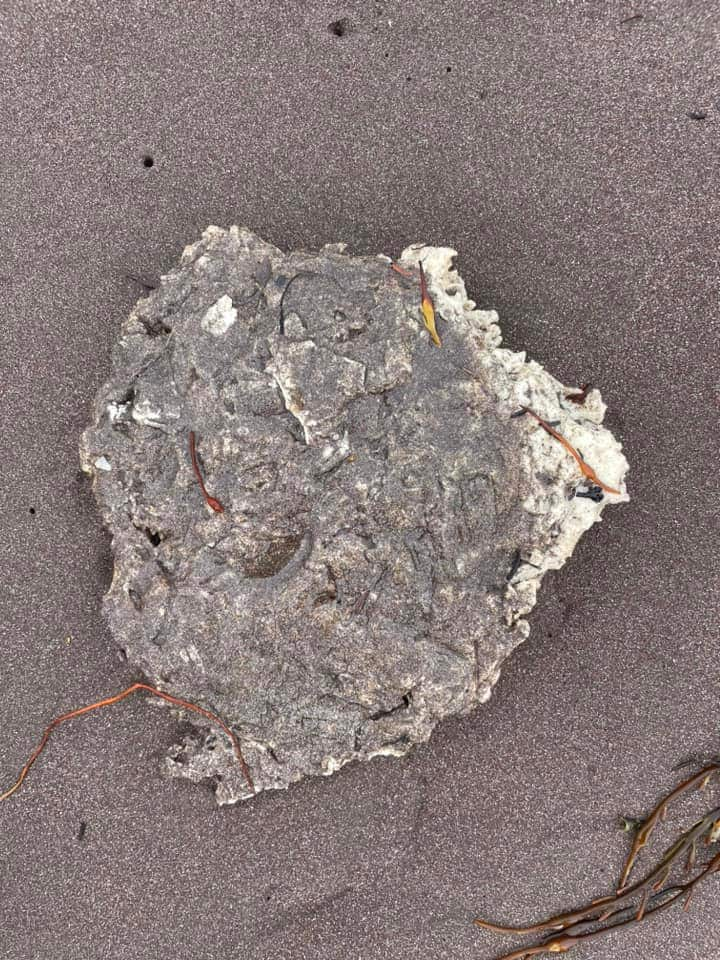 A white blob-like substance on a beach.