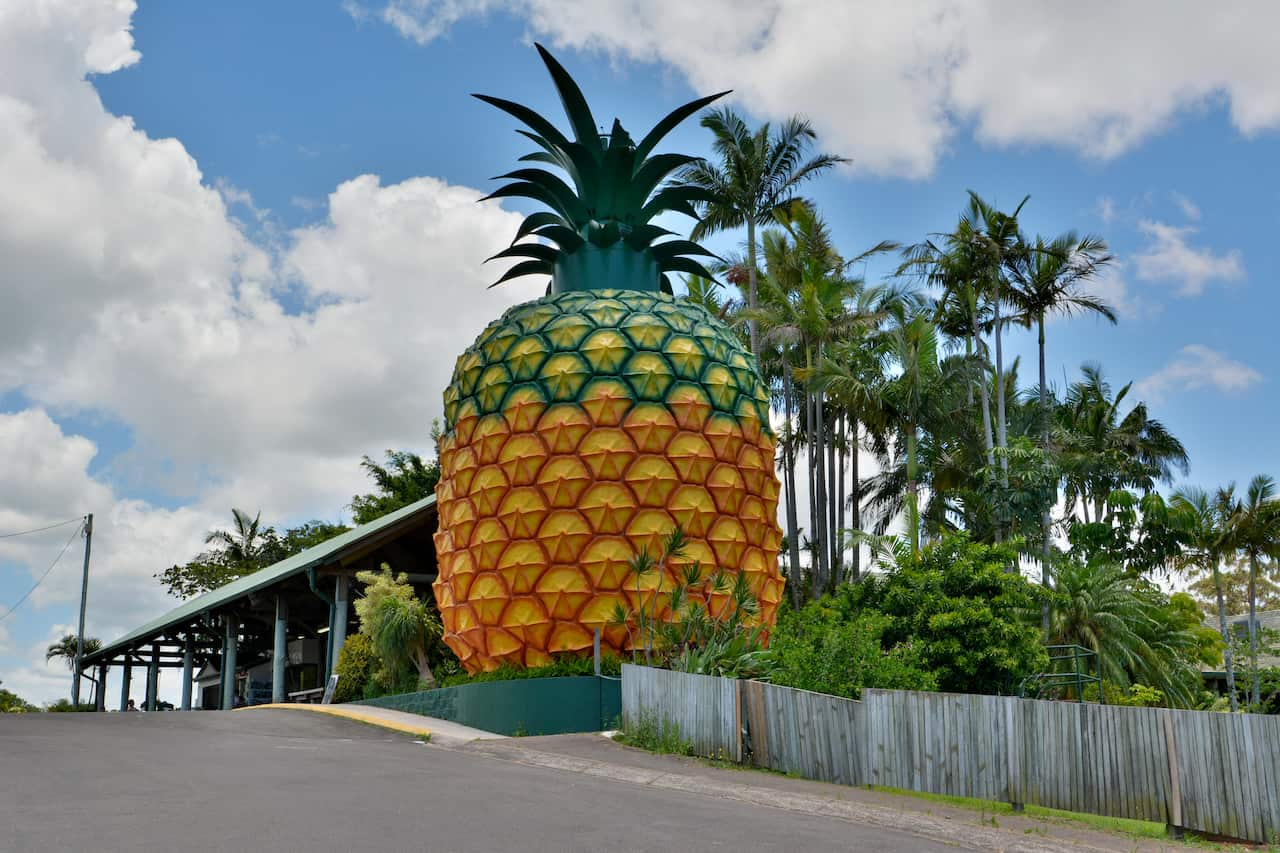 A giant structure of a pineapple among tall trees.