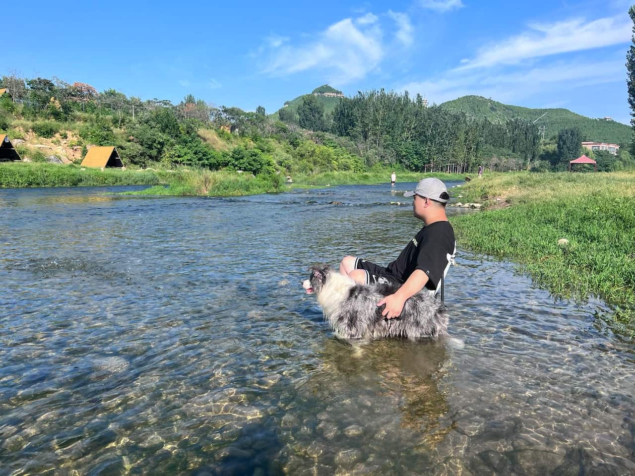 A man sits on a chair in a shallow river with a dog.