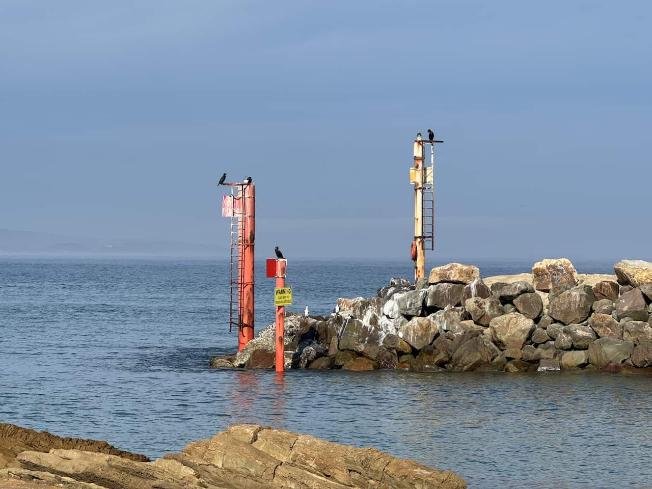 Birds sitting on poles next to the ocean.