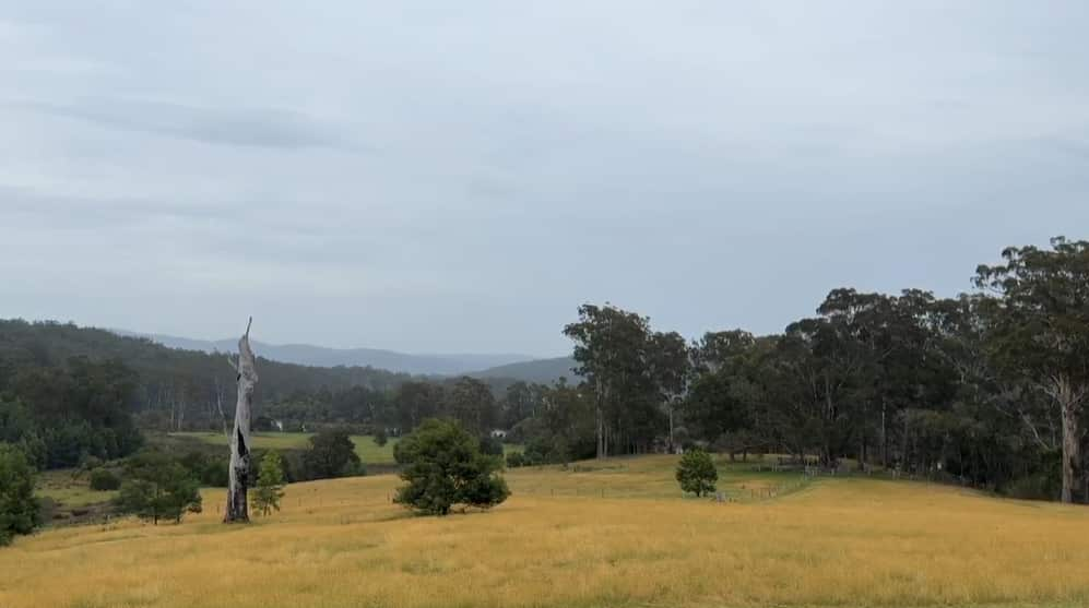 A vast stretch of green land bordered by trees and hills.