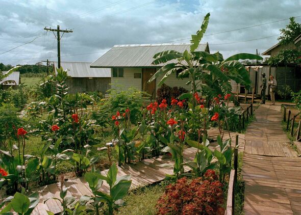 A view of the People's Temple compound, Jonestown