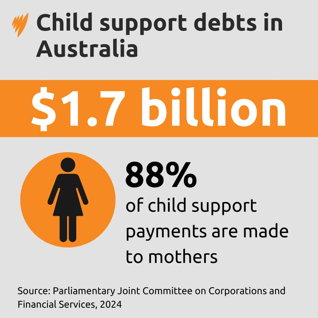 Impact Stats Big Small Child Support Debts.png