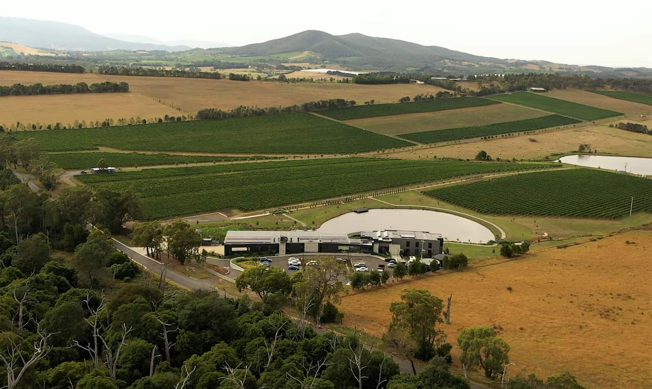 An aerial photo shows buildings and rows of grape vines at a vineyard.