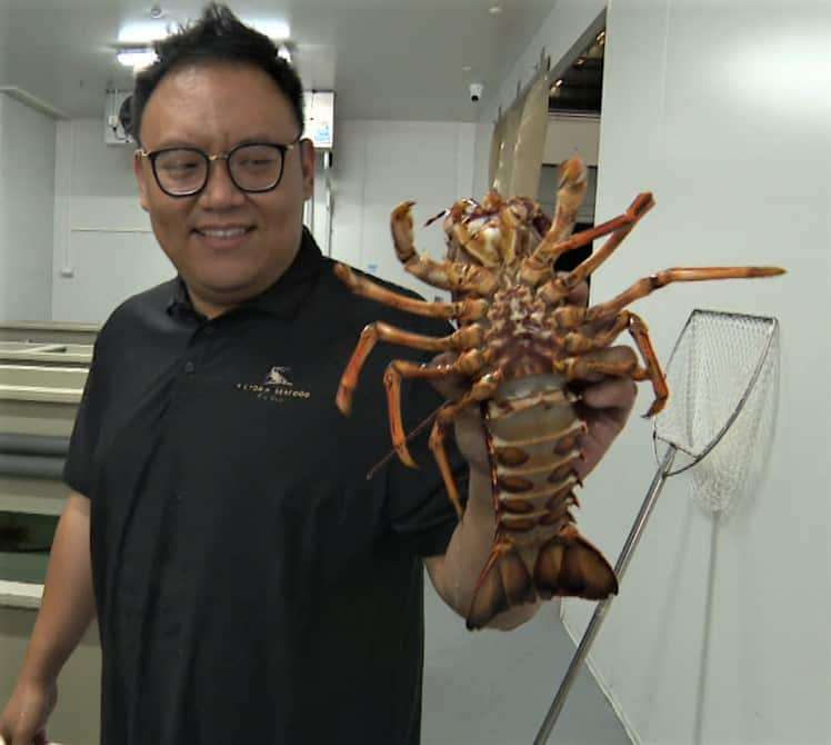 A man in a black t-shirt holds up a rock lobster.