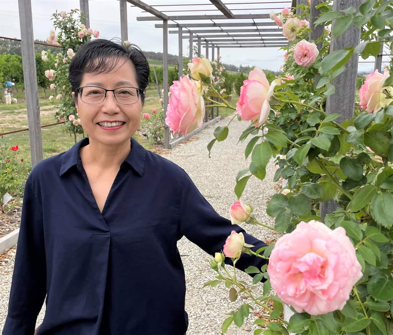 A woman in a blue shirt stands next to pink roses growing on a trellis.