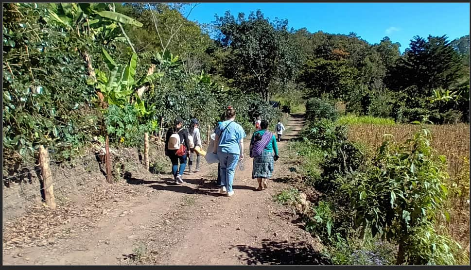 Several women walking down an unpaved path surrounded by greenery, possibly in a forest, on a sunny day