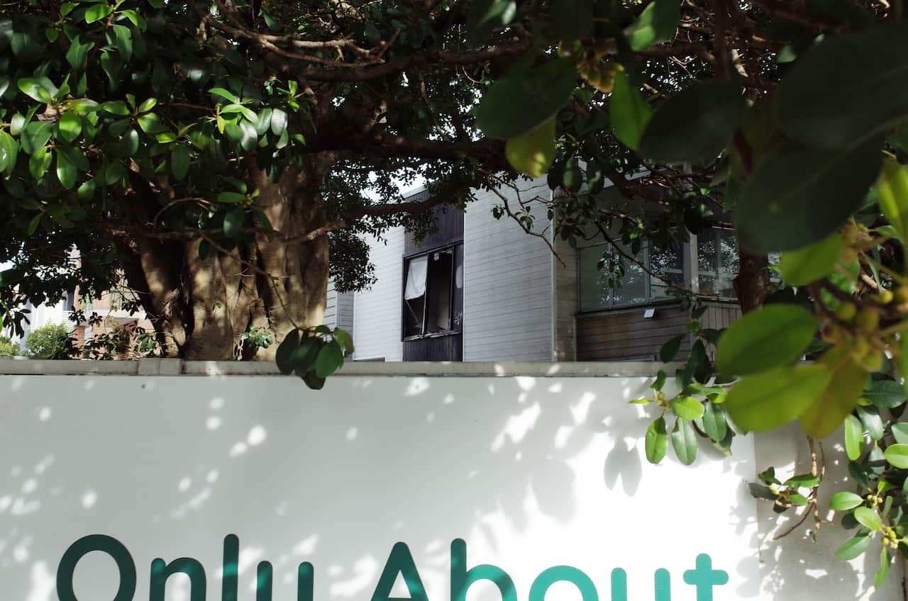 A white building is visible through a tangle of vines and behind a white board.