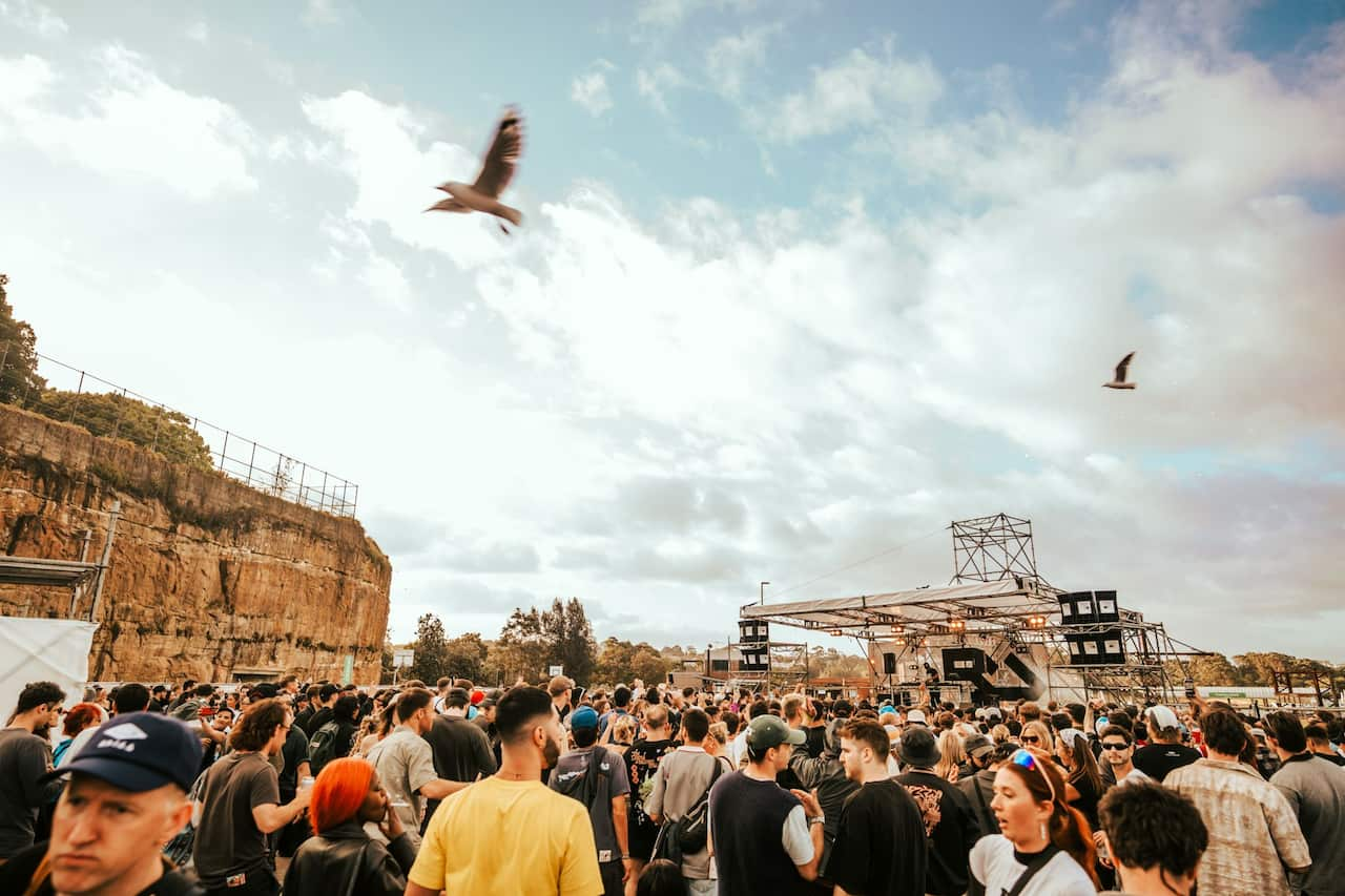 A crowd of festivalgoers surrounding an outdoor stage as two seagulls fly overhead