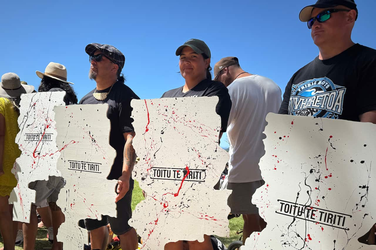 Protesters stand in a row holding posters with the words "Toitu te Tiriti" in Māori, which means the Treaty remains.