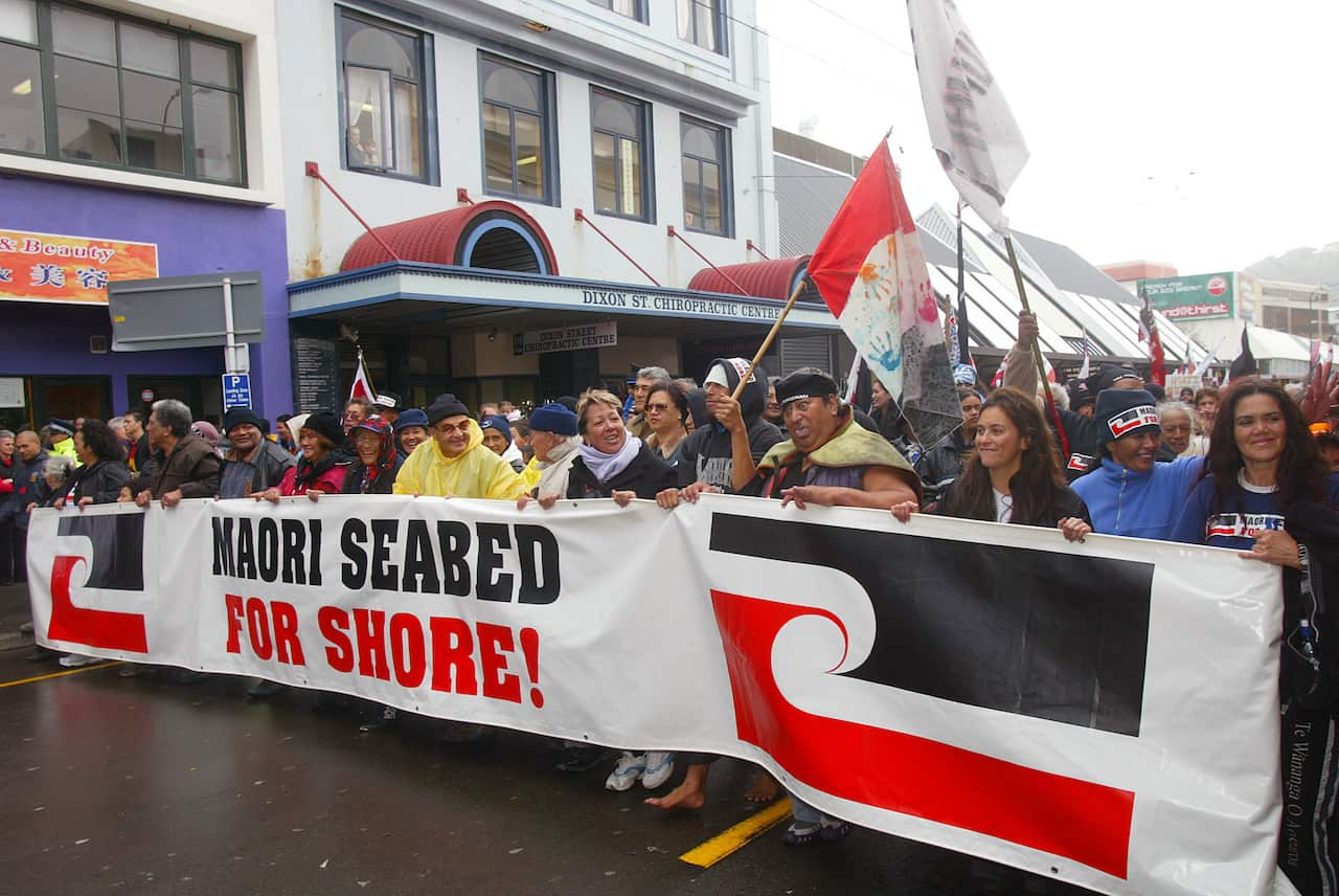 People holding a banner reading "Māori seabed for shore!" during a protest.