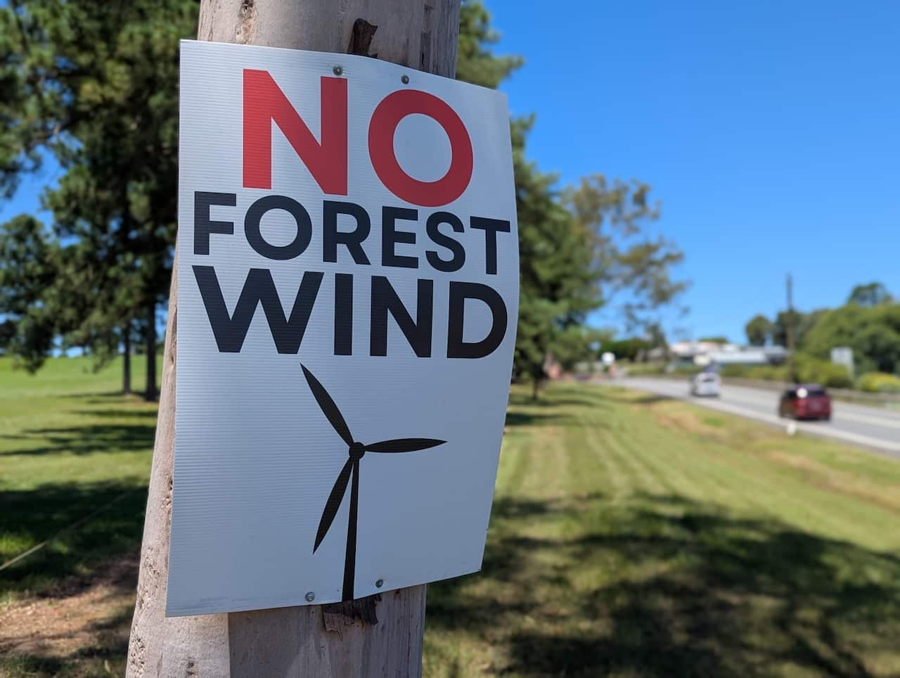 A cardboard sign saying 'no forest wind' stapled to a tree on the side of the road.